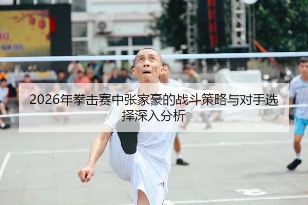 2026年拳击赛中张家豪的战斗策略与对手选择深入分析