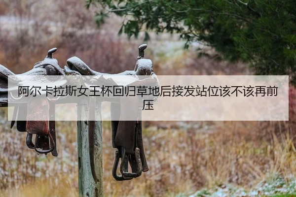 a-er-ka-la-si-nv-wang-bei-hui-gui-cao-di-hou-jie-fa-zhan-wei-gai-bu-gai-zai-qian-ya-2-682.jpg